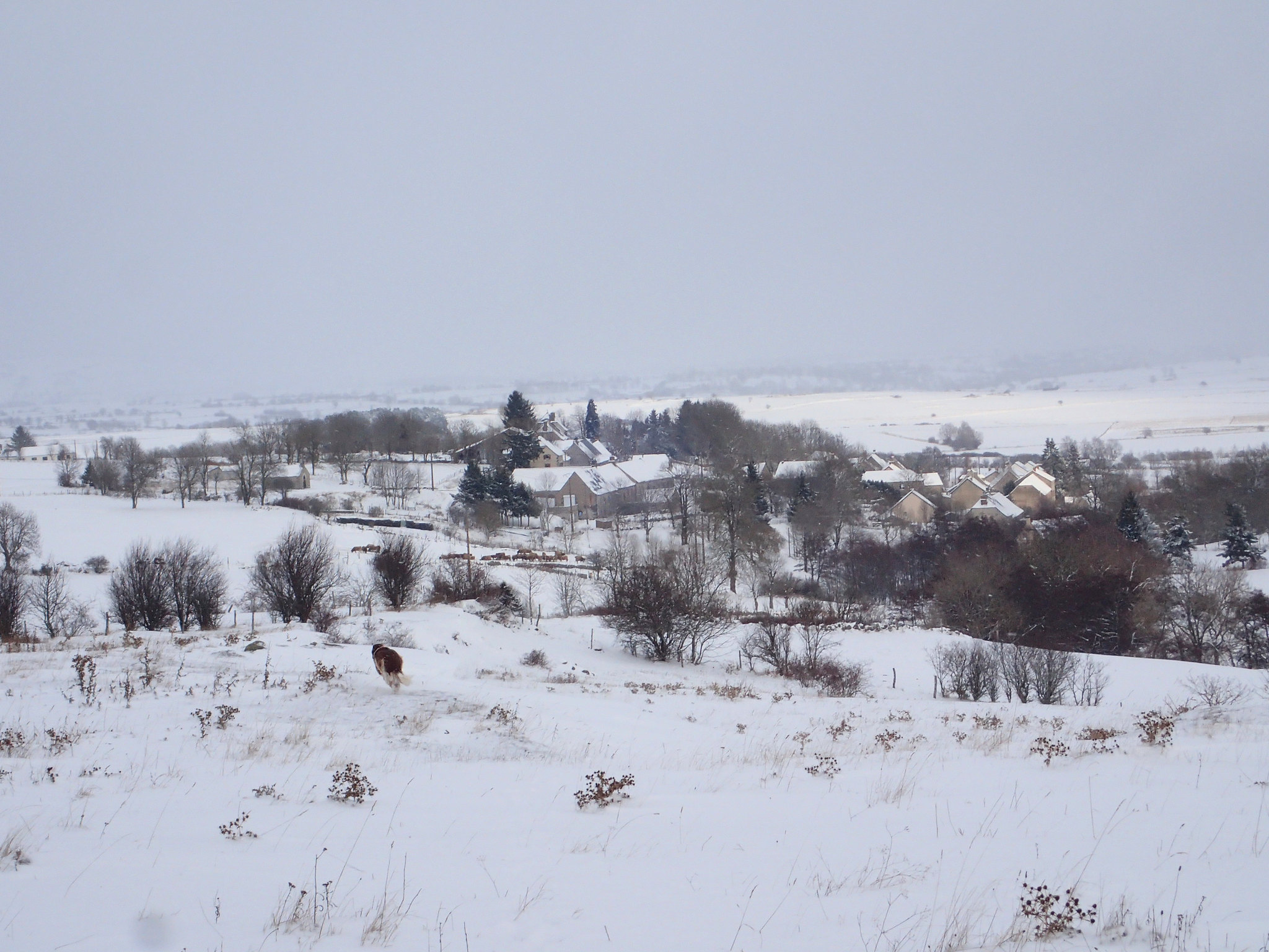 Galerie Photos Valuéjols, une commune au cœur de la Planeze